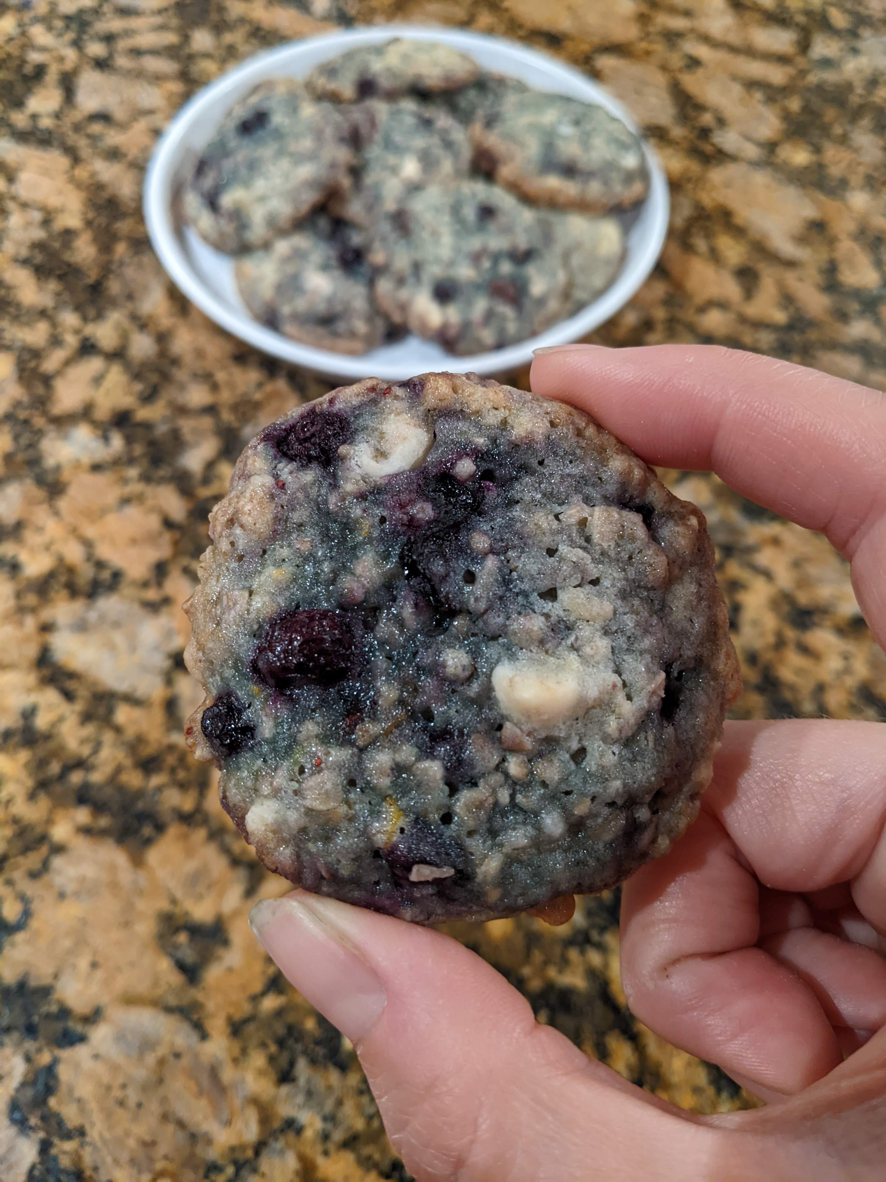 Status Update and Blueberry Cookies